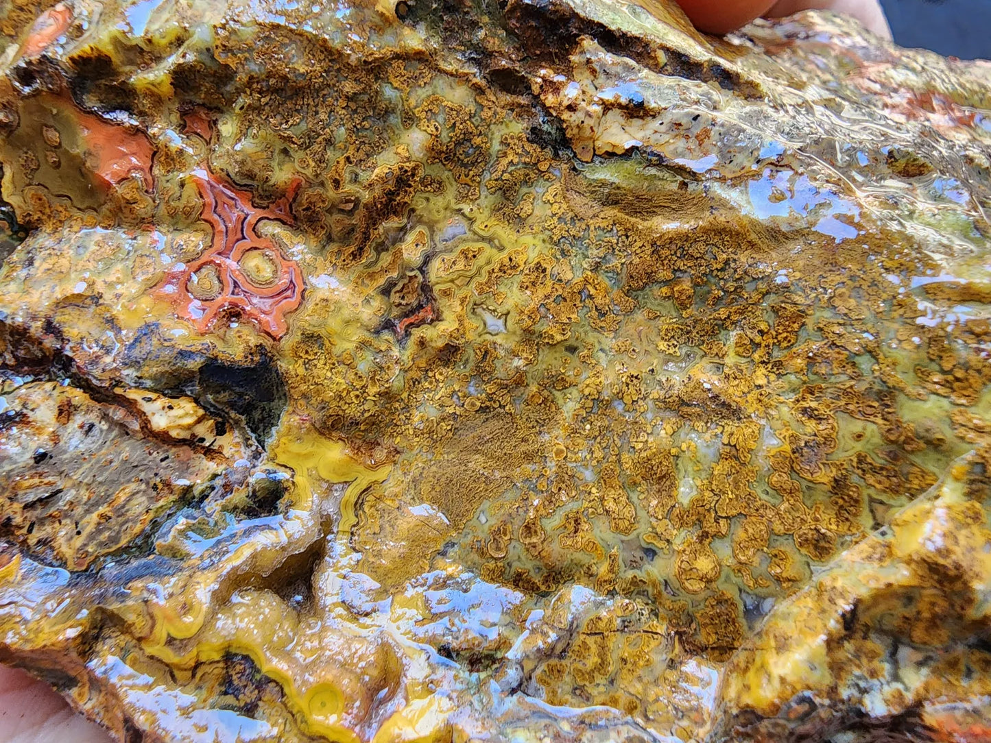 Colorful Plume Agate