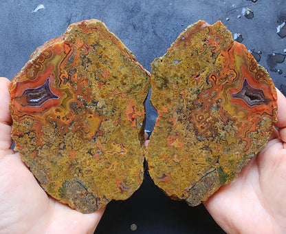 Colorful Plume Agate