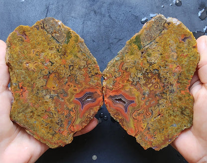 Colorful Plume Agate