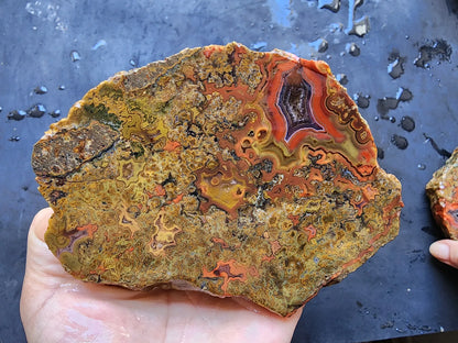 Colorful Plume Agate
