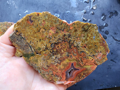 Colorful Plume Agate