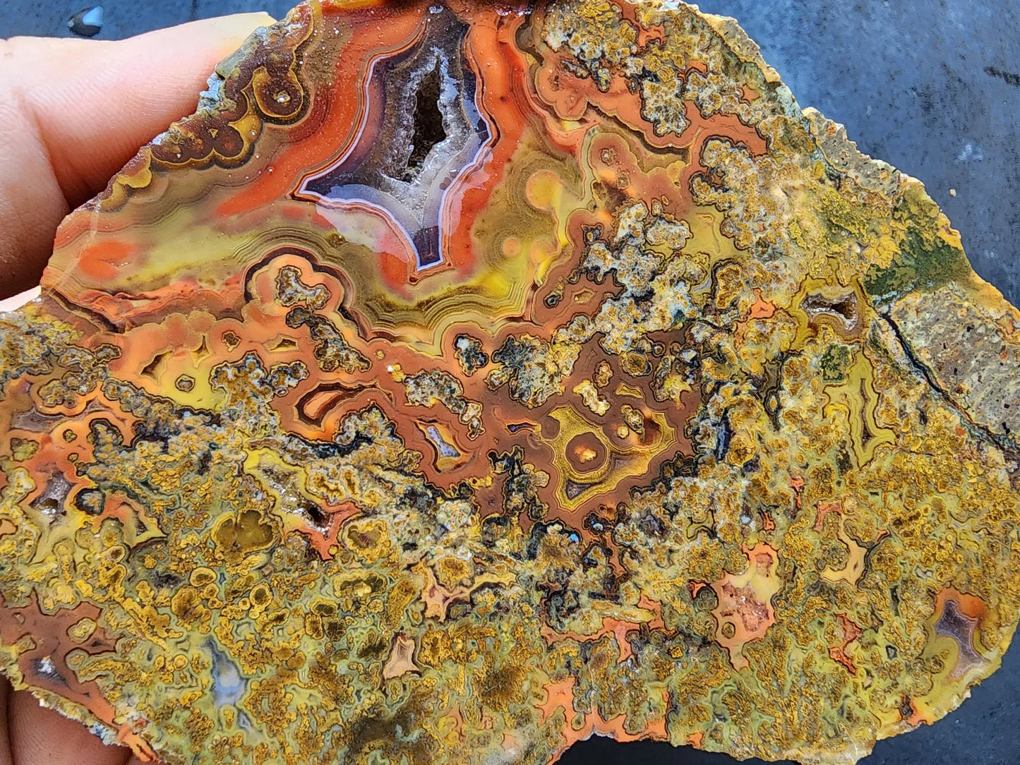 Colorful Plume Agate