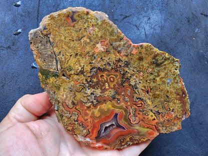 Colorful Plume Agate
