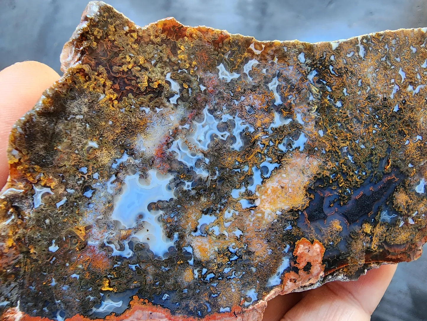 Colorful Plume Agate