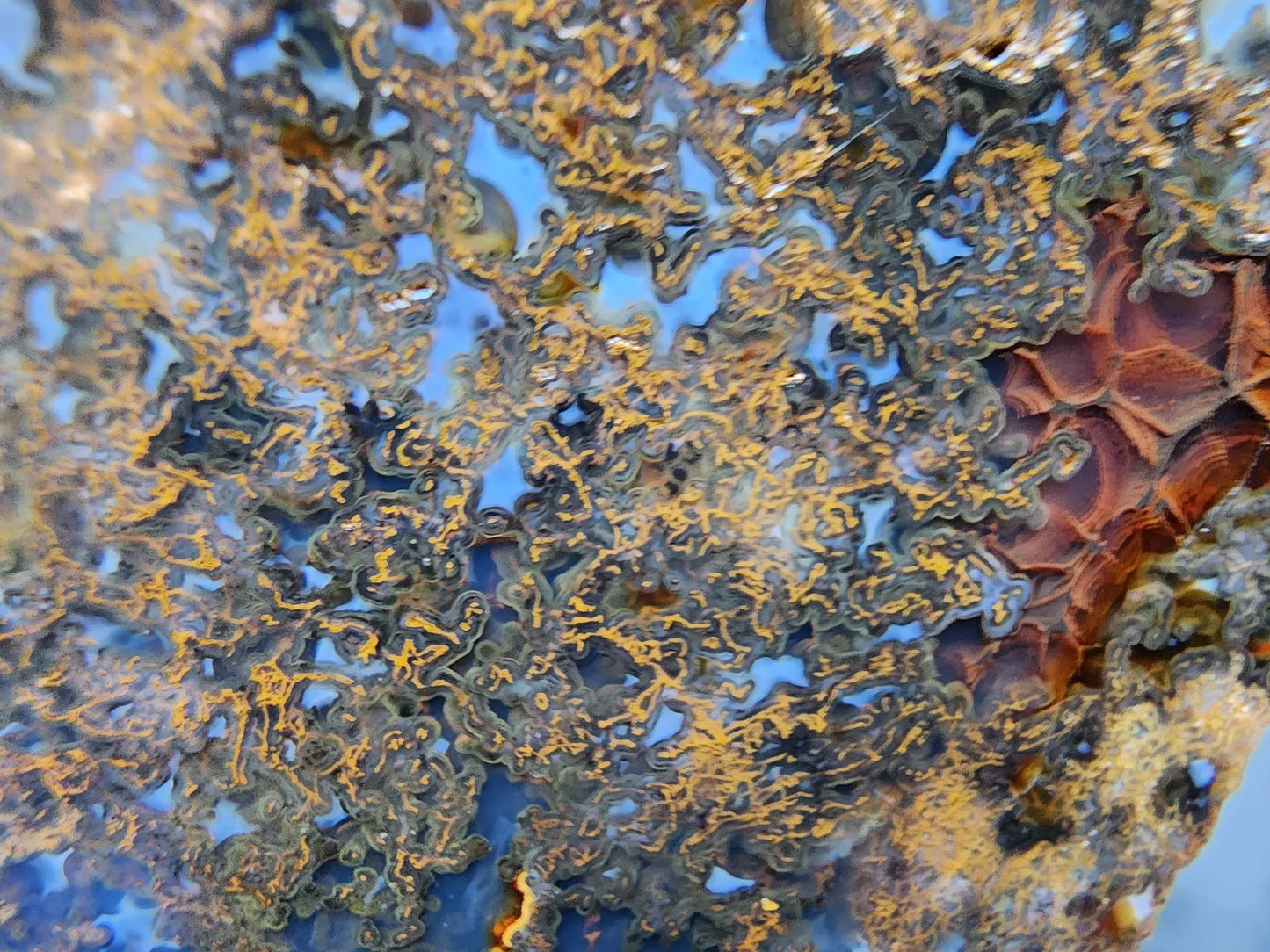 Colorful Plume Agate