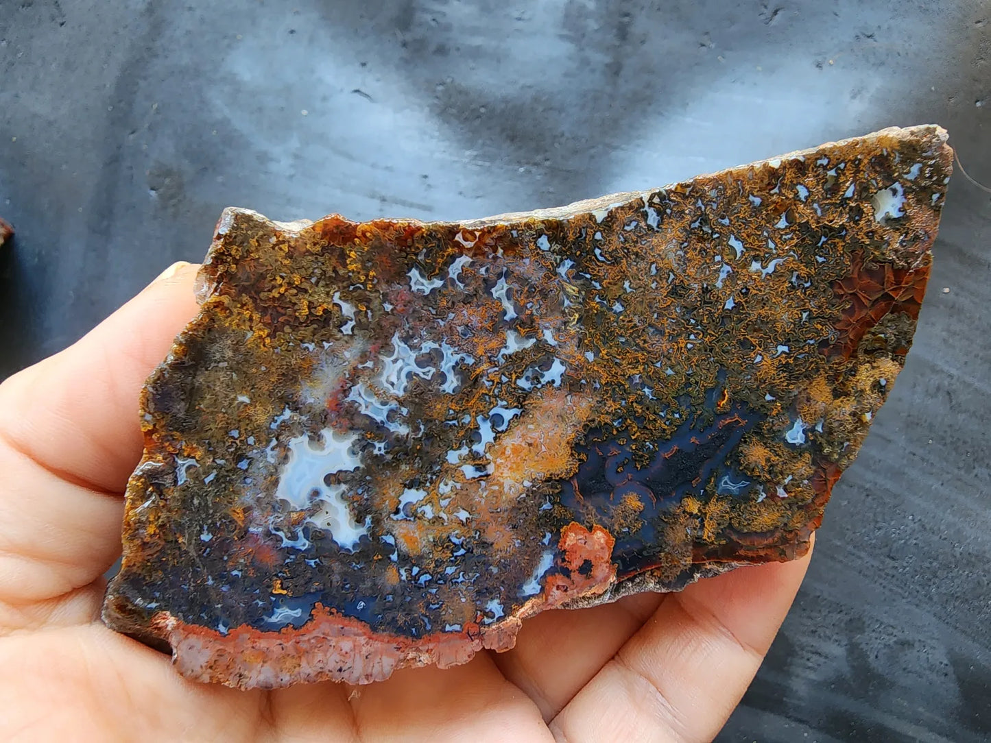 Colorful Plume Agate