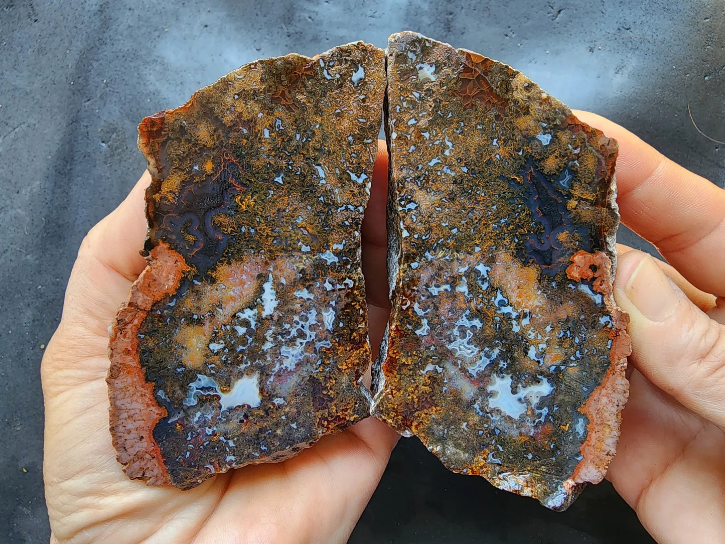 Colorful Plume Agate