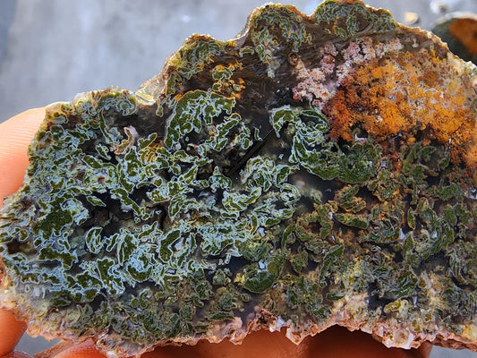 Raw Moss Agate Pair