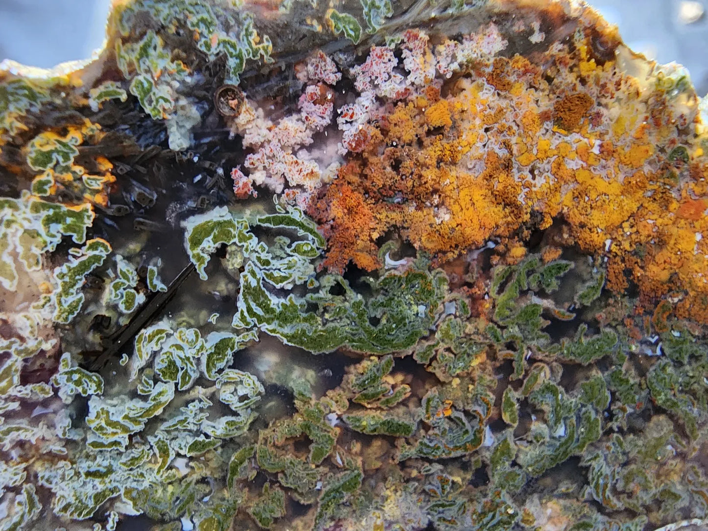 Raw Moss Agate Pair