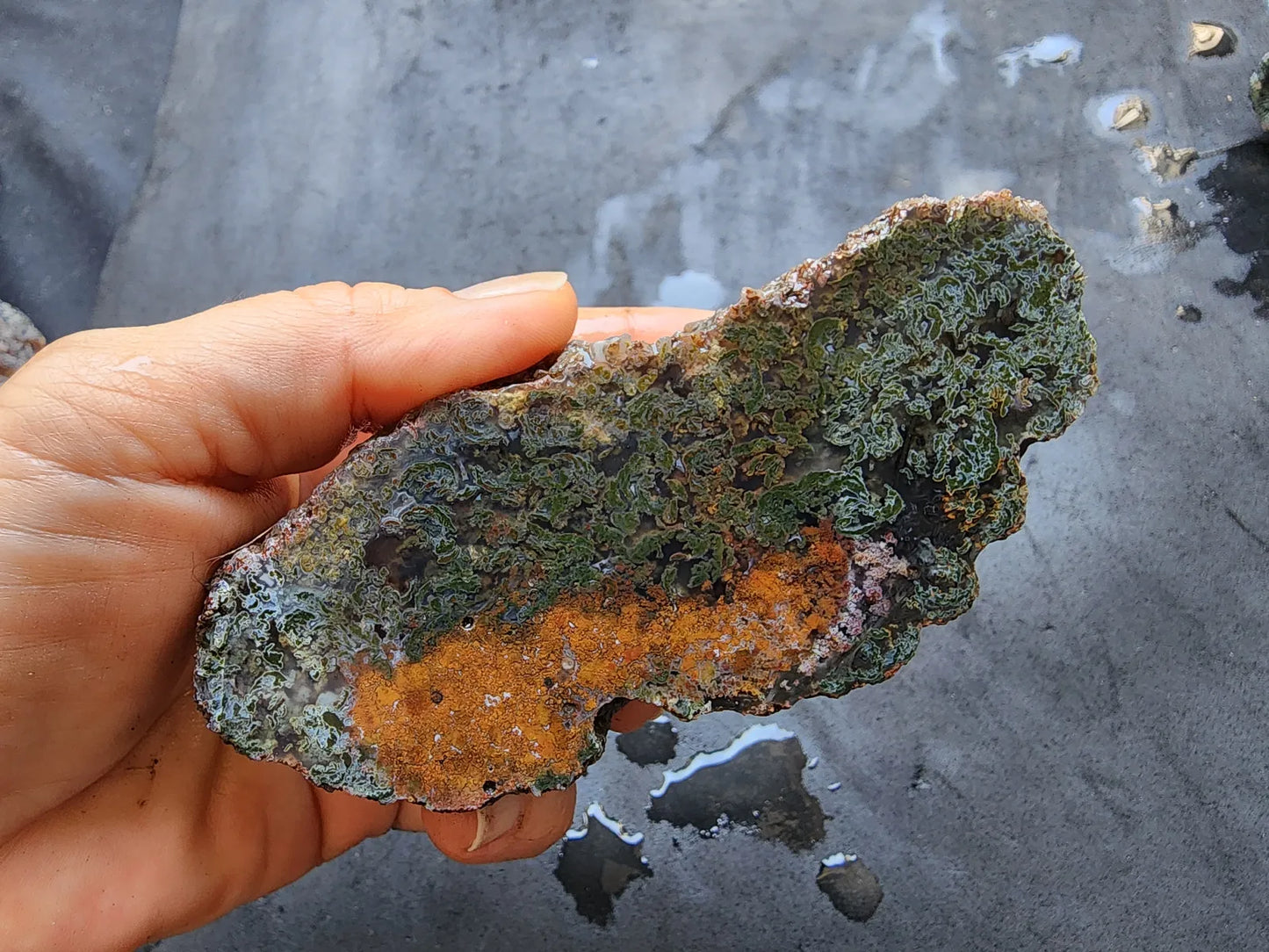 Raw Moss Agate Pair