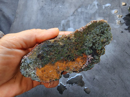 Raw Moss Agate Pair