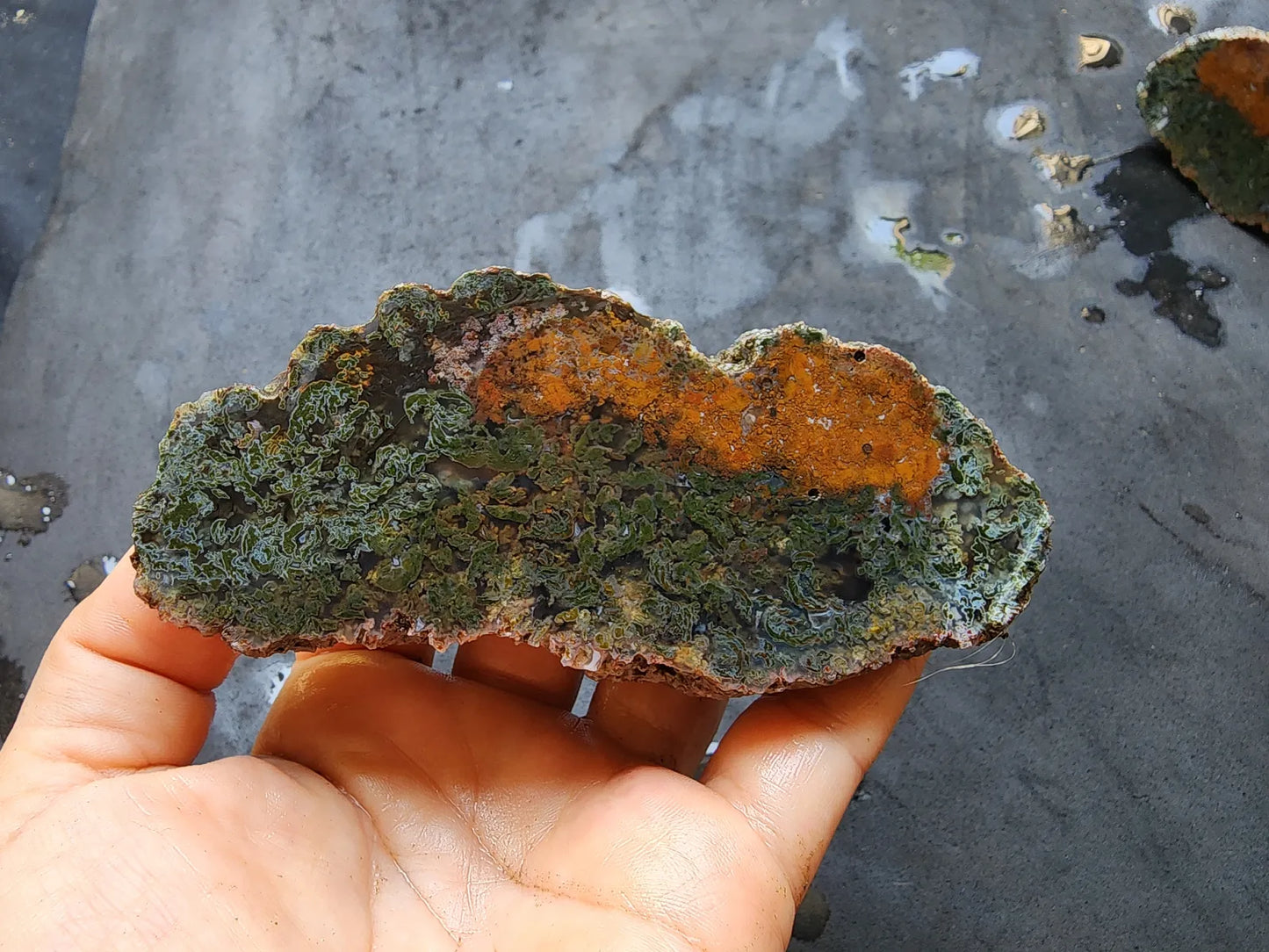 Raw Moss Agate Pair