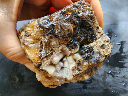 Large Pseudomorph Agate