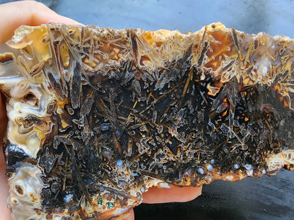 Large Pseudomorph Agate