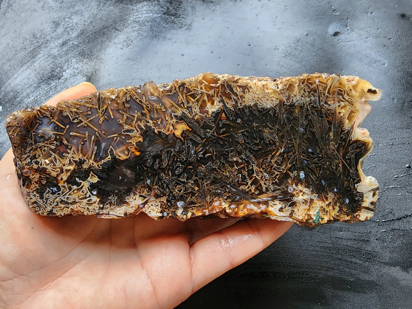 Large Pseudomorph Agate