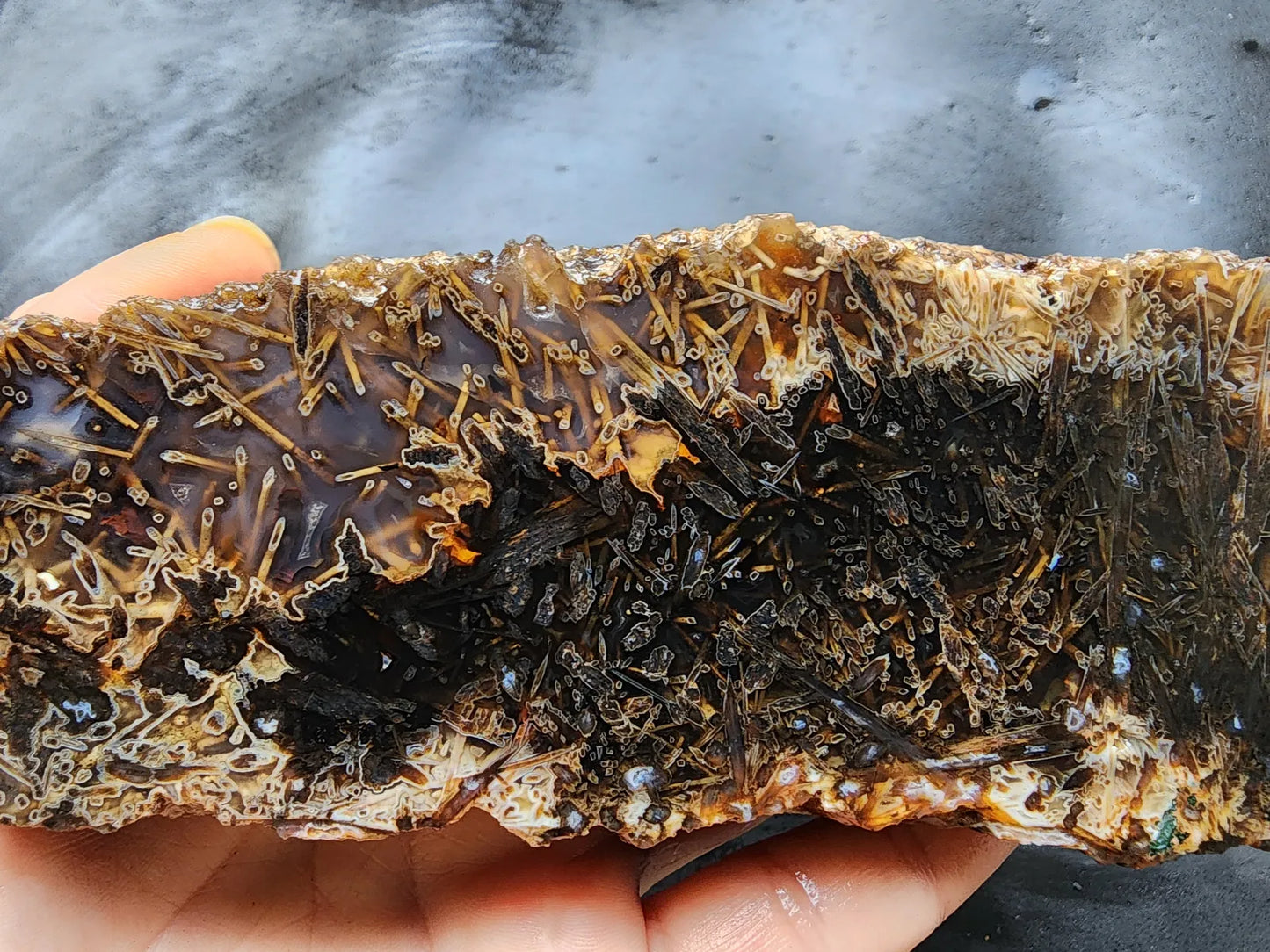 Large Pseudomorph Agate