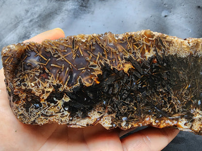 Large Pseudomorph Agate