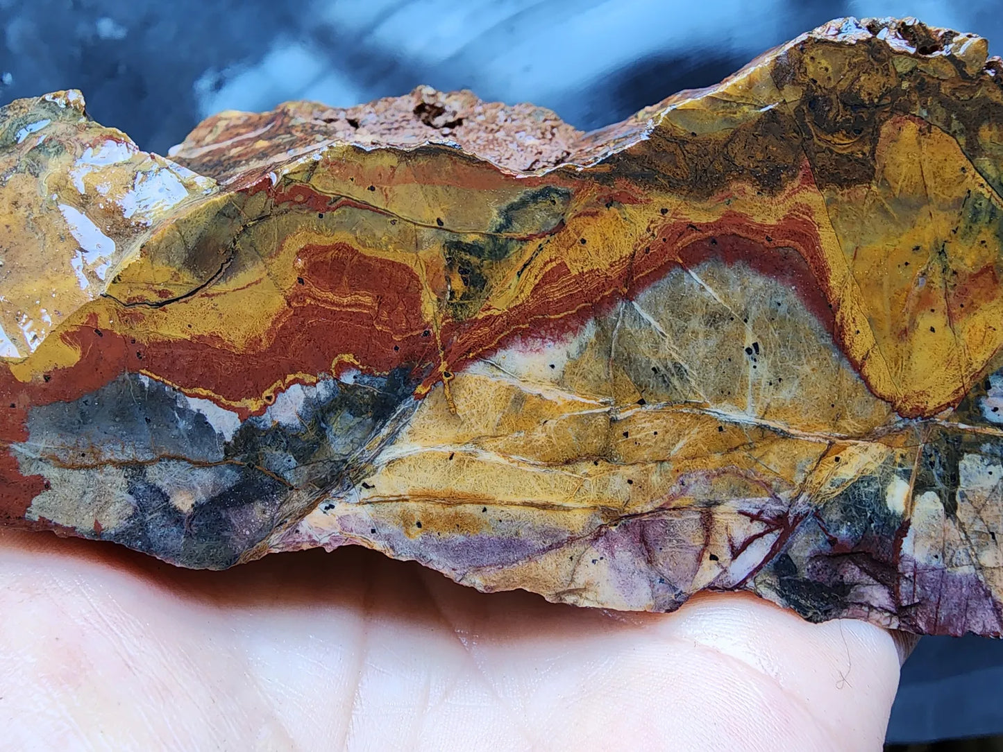 Picture Jasper