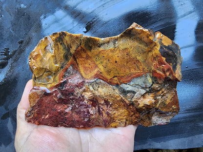 Picture Jasper