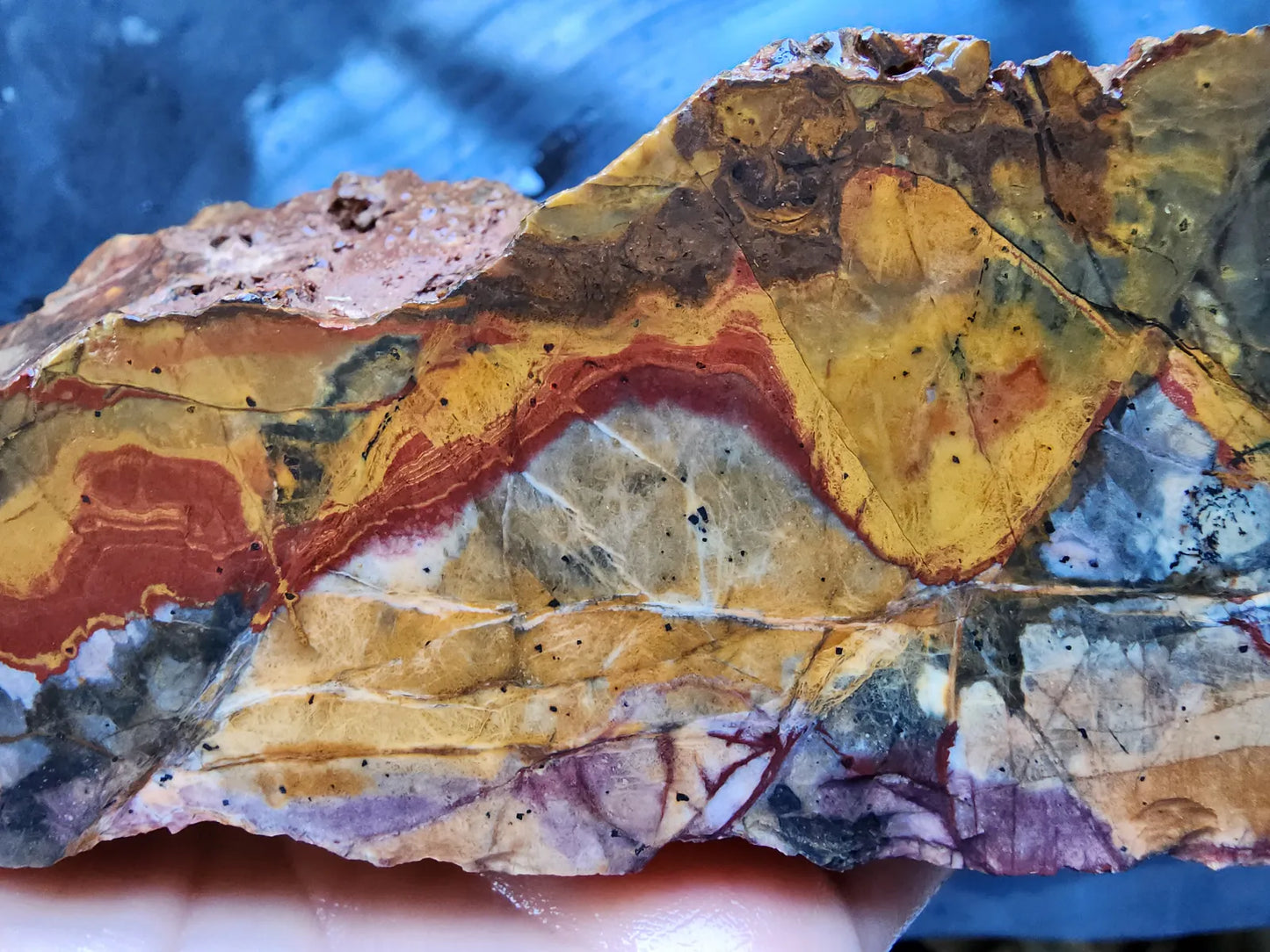 Picture Jasper