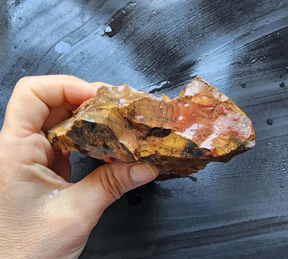 Picture Jasper