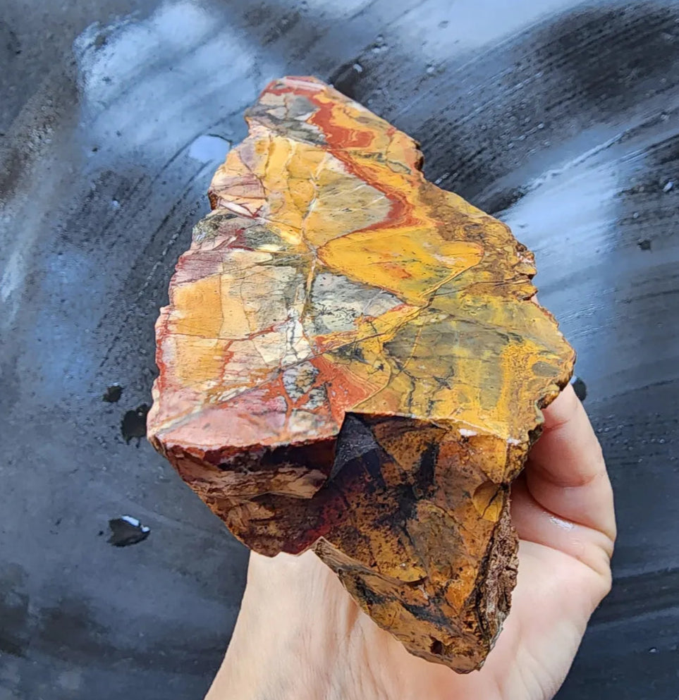 Picture Jasper