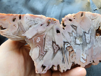 Large Decorative Rock