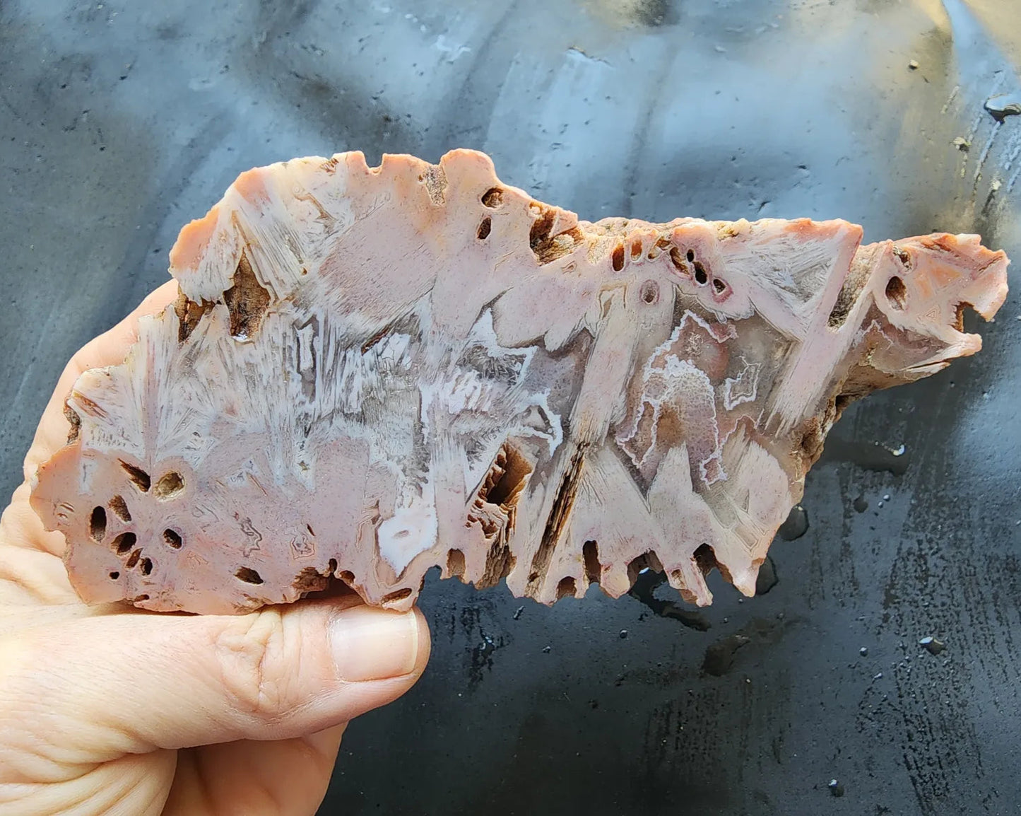 Large Decorative Rock