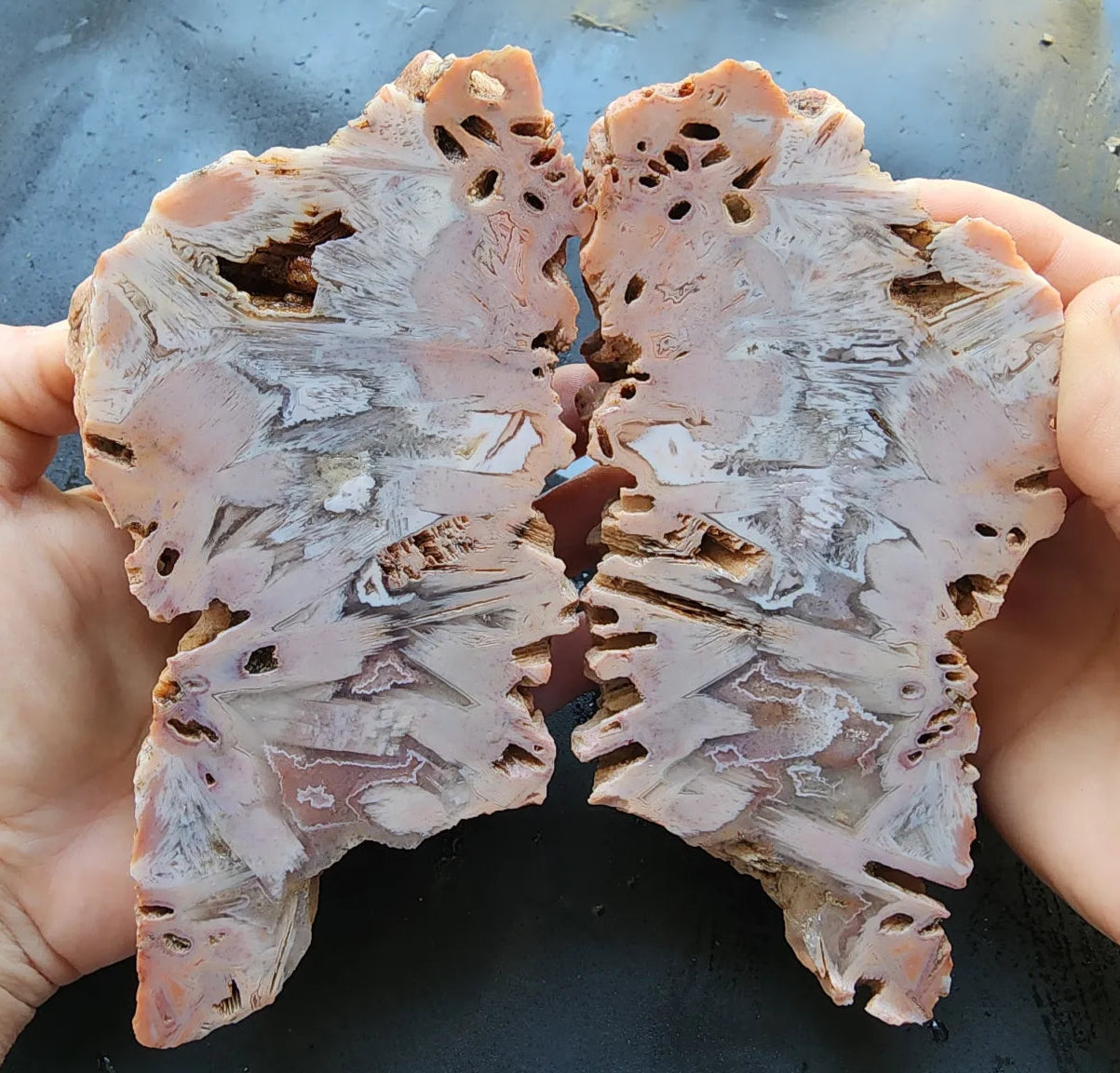 Large Decorative Rock