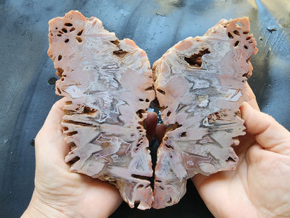 Large Decorative Rock
