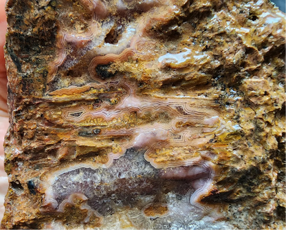 Plume Agate Slab