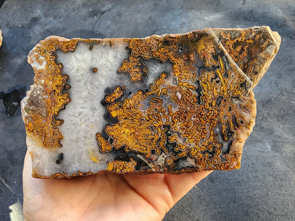 Yellow Moss Agate