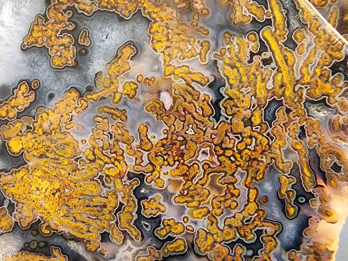 Yellow Moss Agate