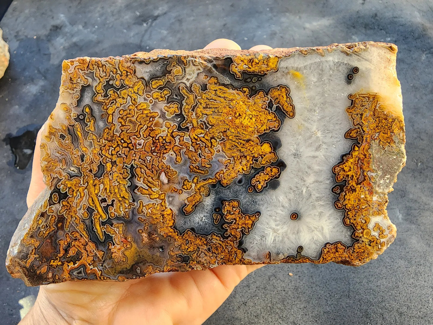 Yellow Moss Agate