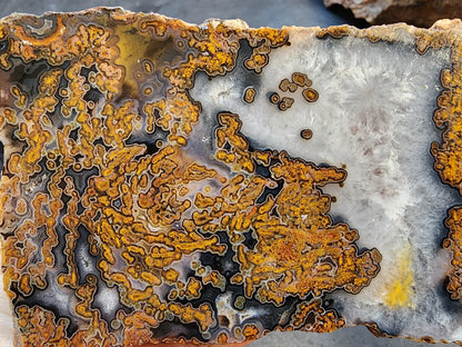 Yellow Moss Agate