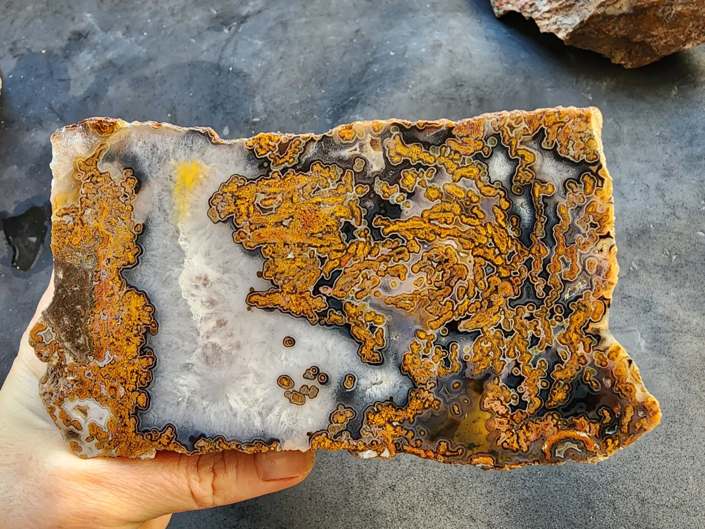 Yellow Moss Agate