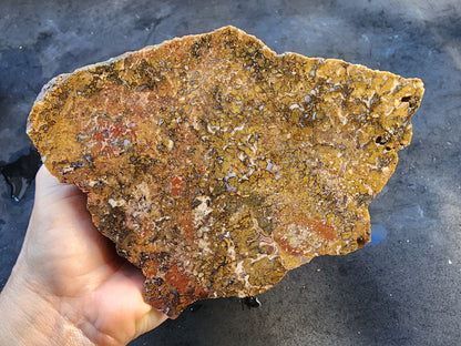 Large Plume Agate