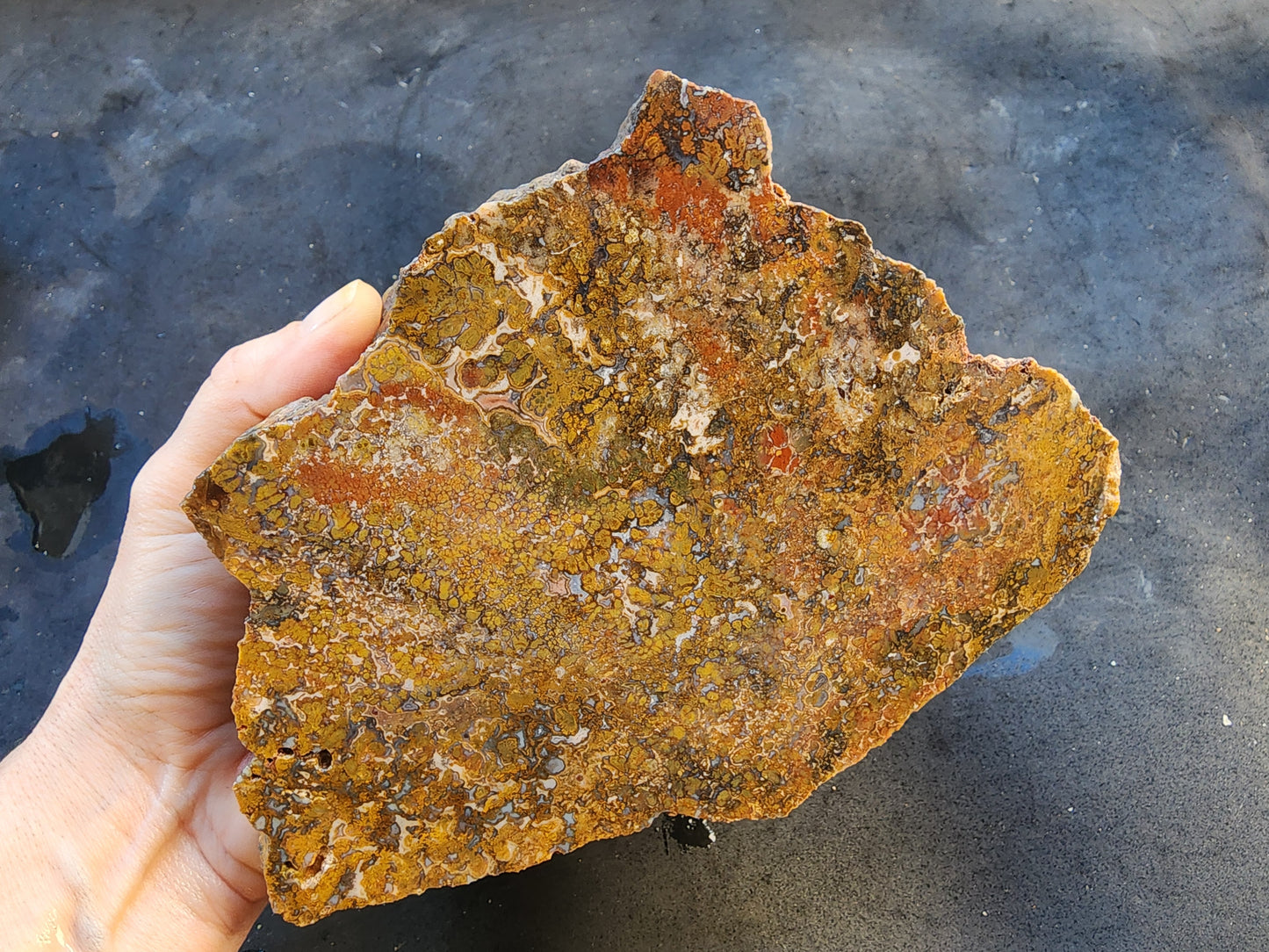 Large Plume Agate