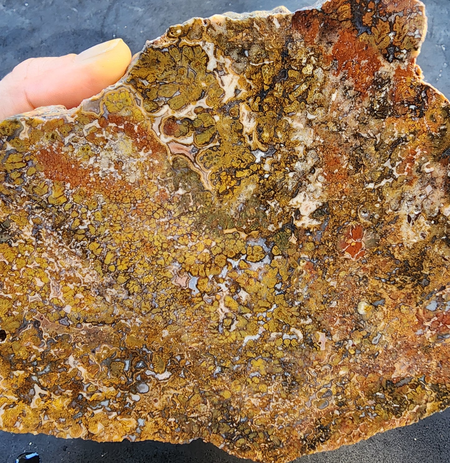 Large Plume Agate