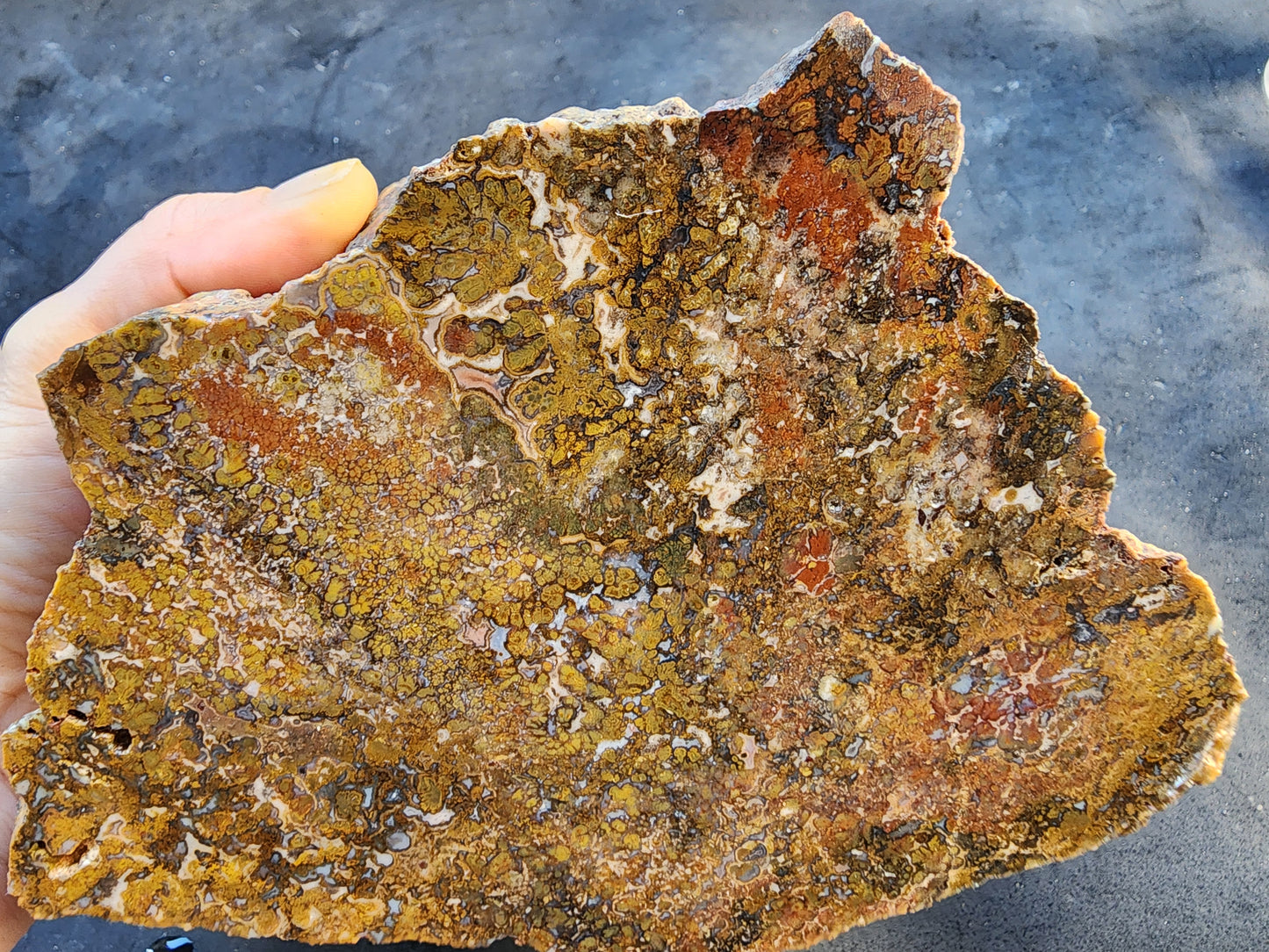 Large Plume Agate