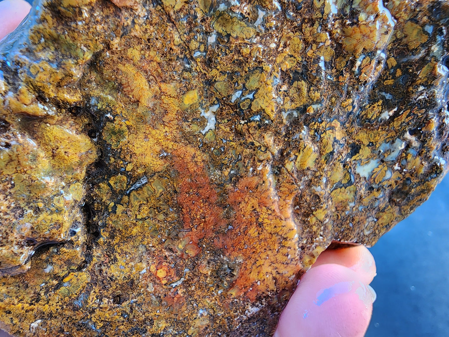 Large Plume Agate