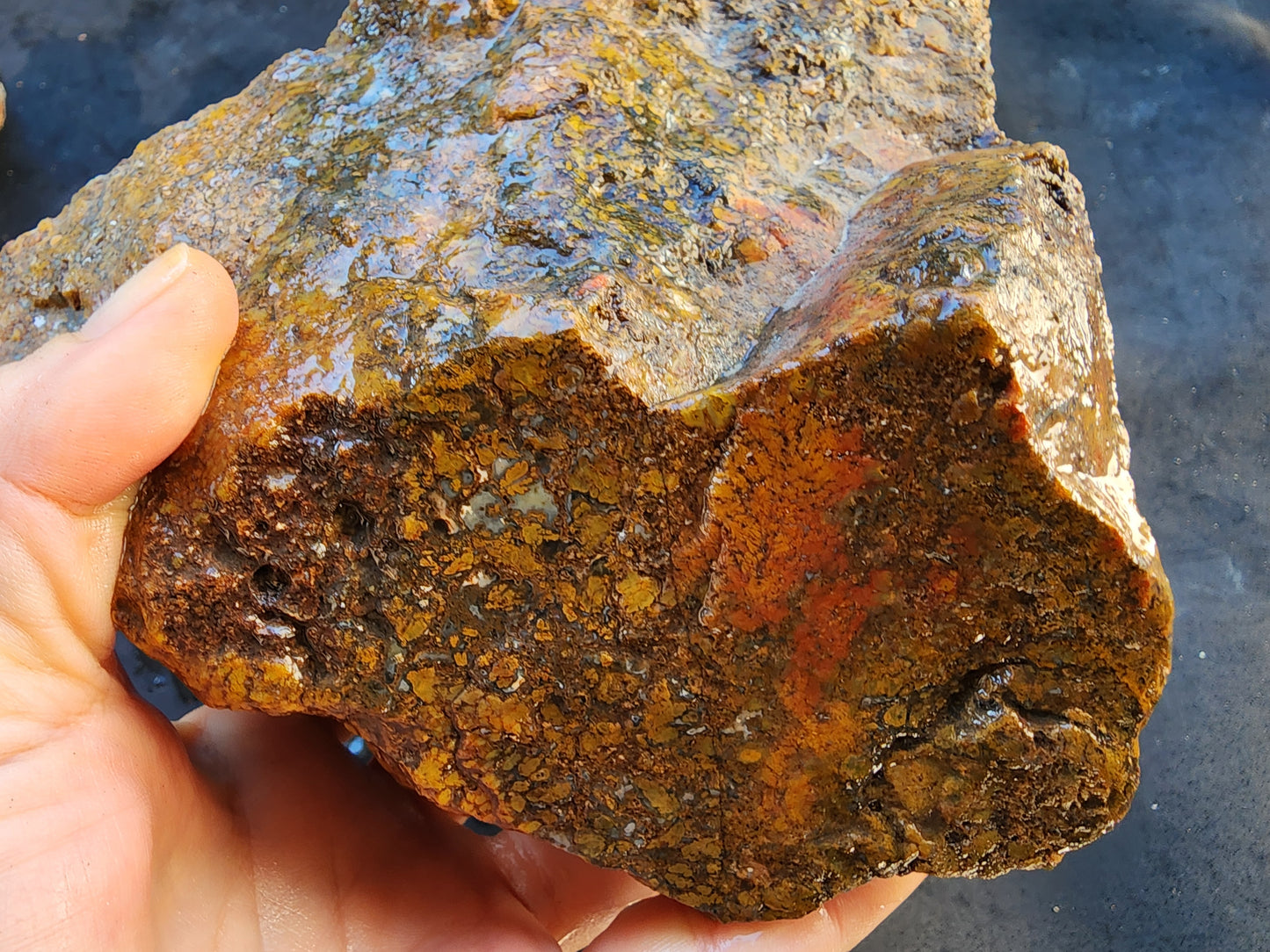 Large Plume Agate