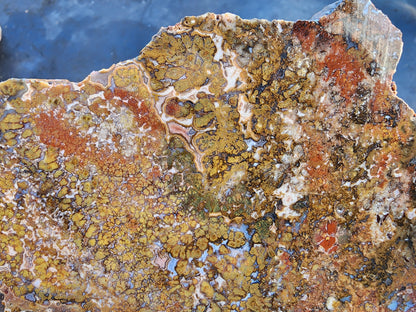 Large Plume Agate