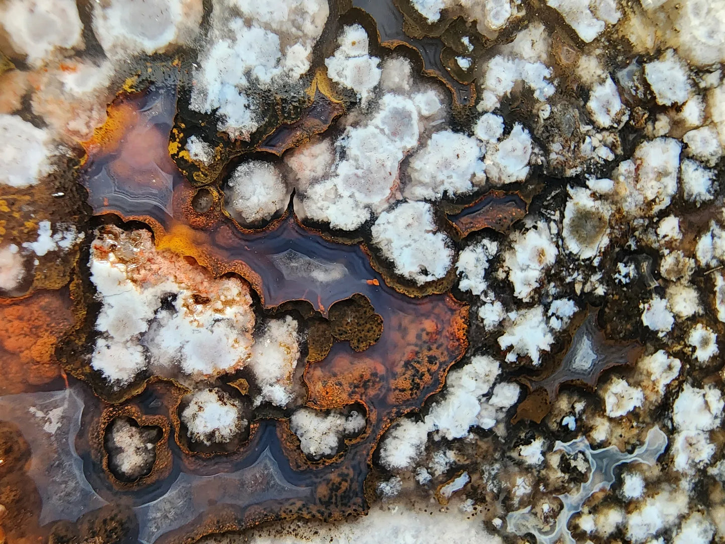 Flower Agate