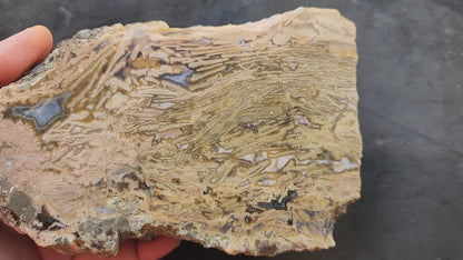 Big Agate Slab