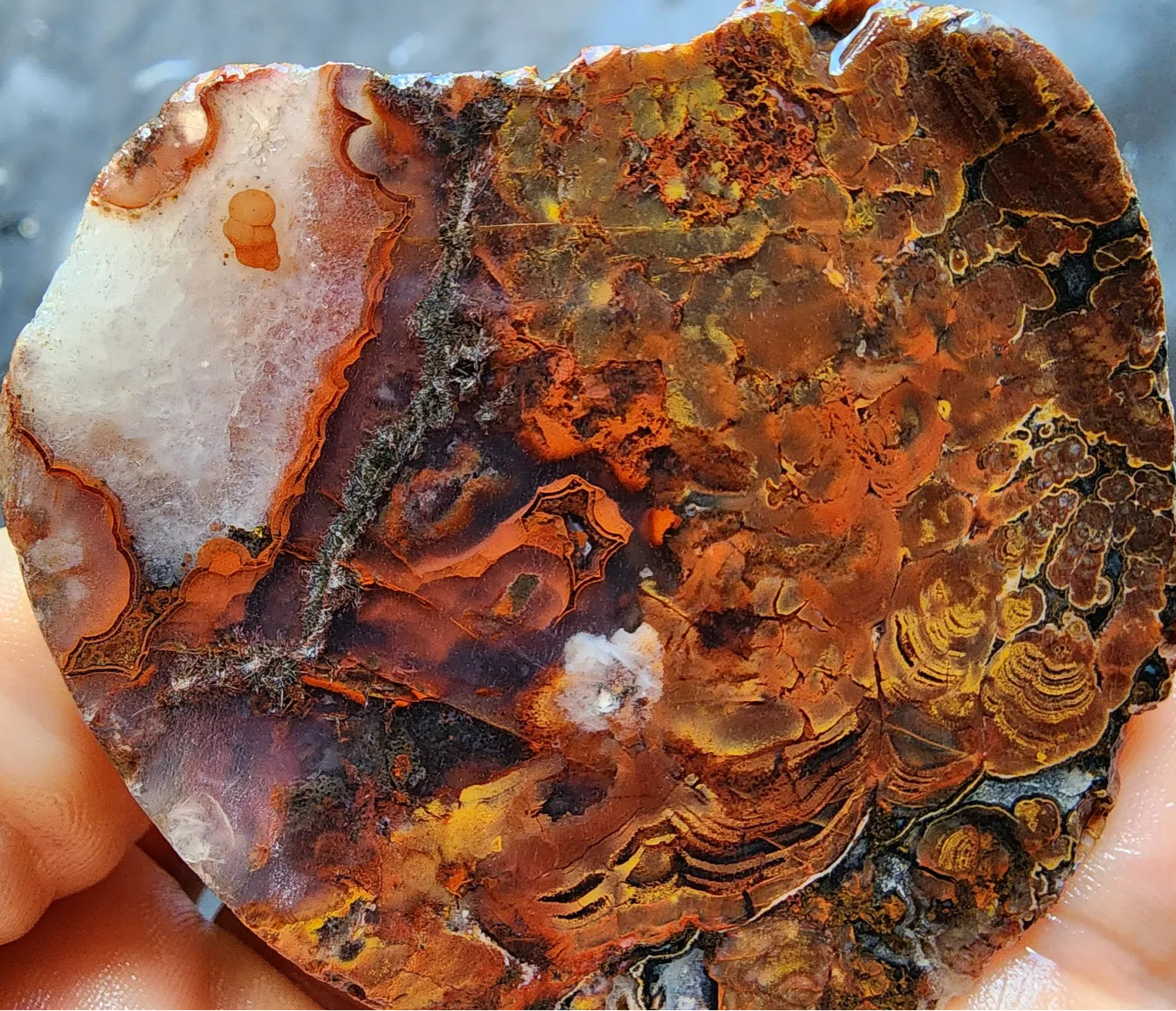 Close-up of an unpolished agate stone held in hand with a blurred natural background