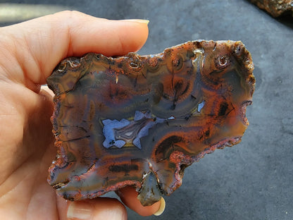 Red & Blue Agate