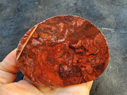 Agatized Jasper