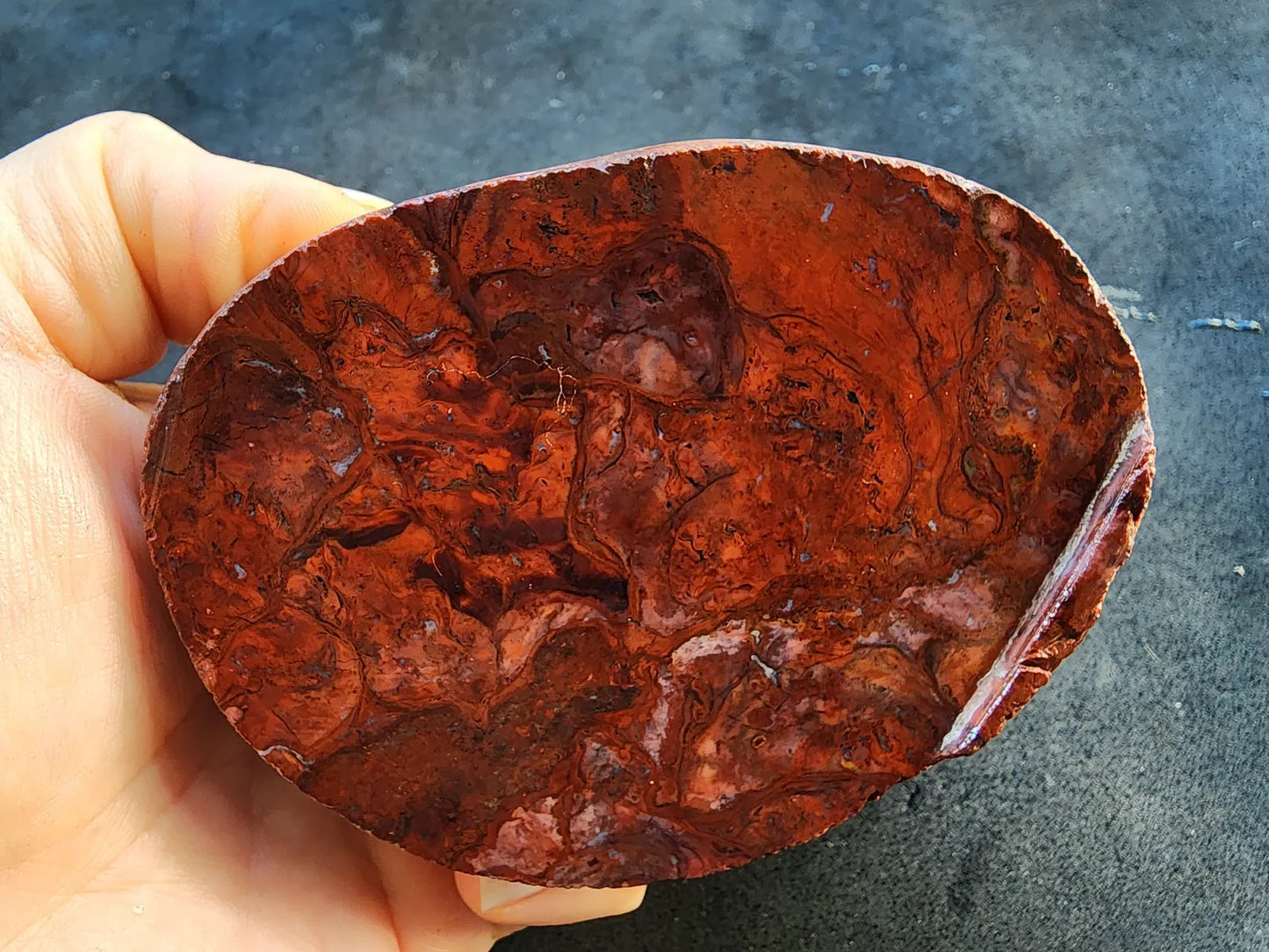 Agatized Jasper