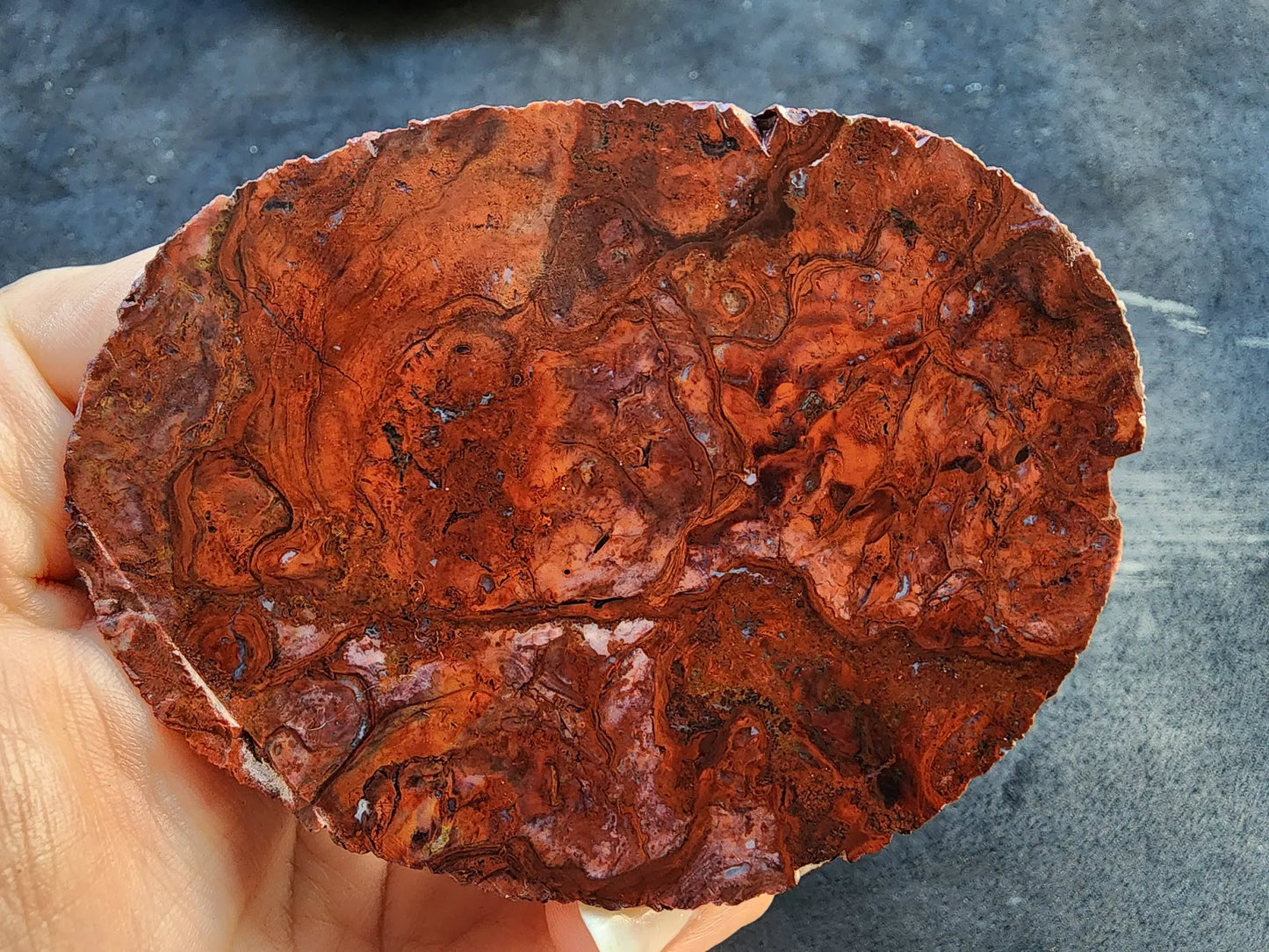 Agatized Jasper